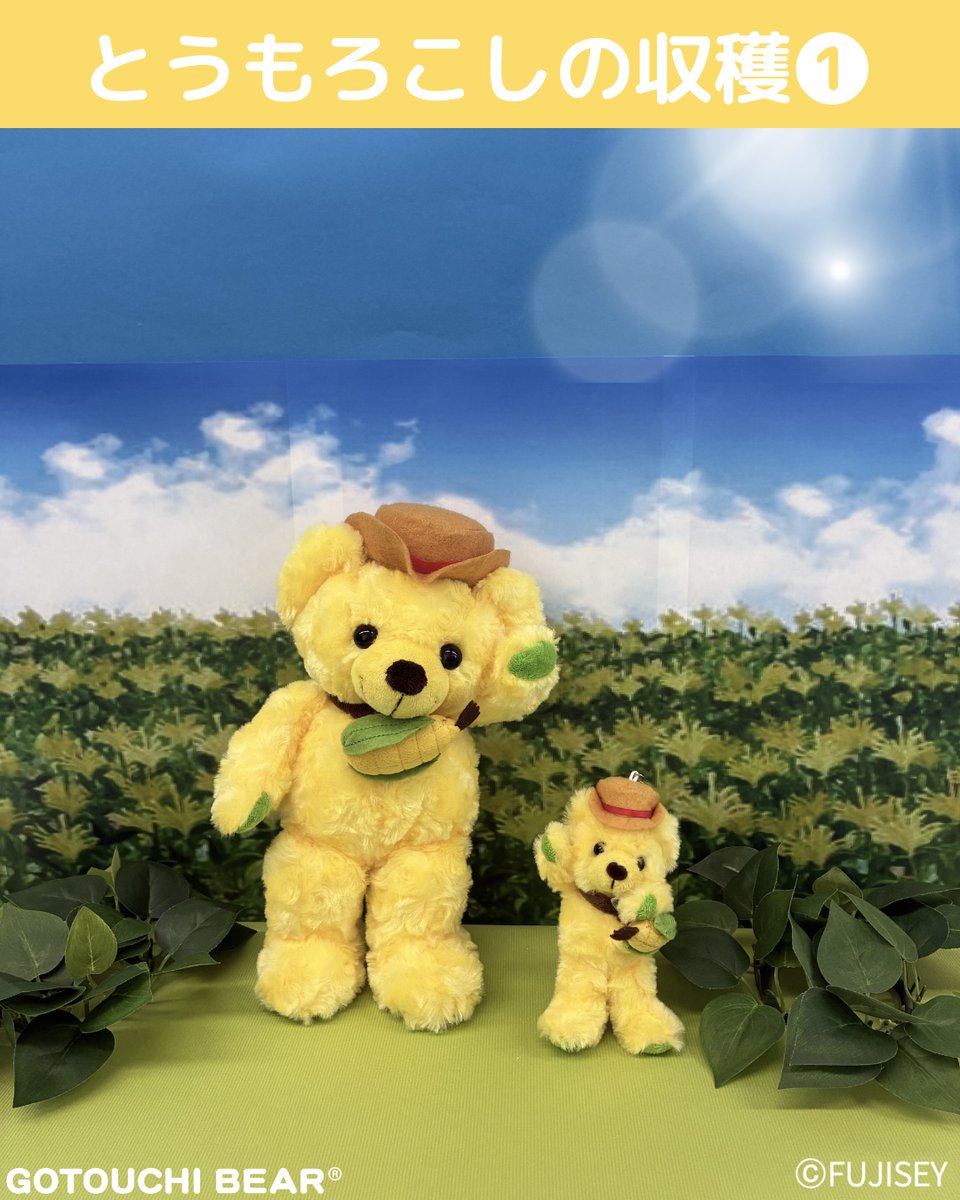ご当地ベア【公式】 (@gotouchibear_jp) / Posts / X