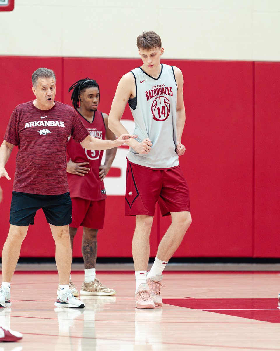 RazorbackMBB's tweet photo. New Hogs are fitting in just fine. 🐗🏠 https://t.co/y8hmUgeGB1