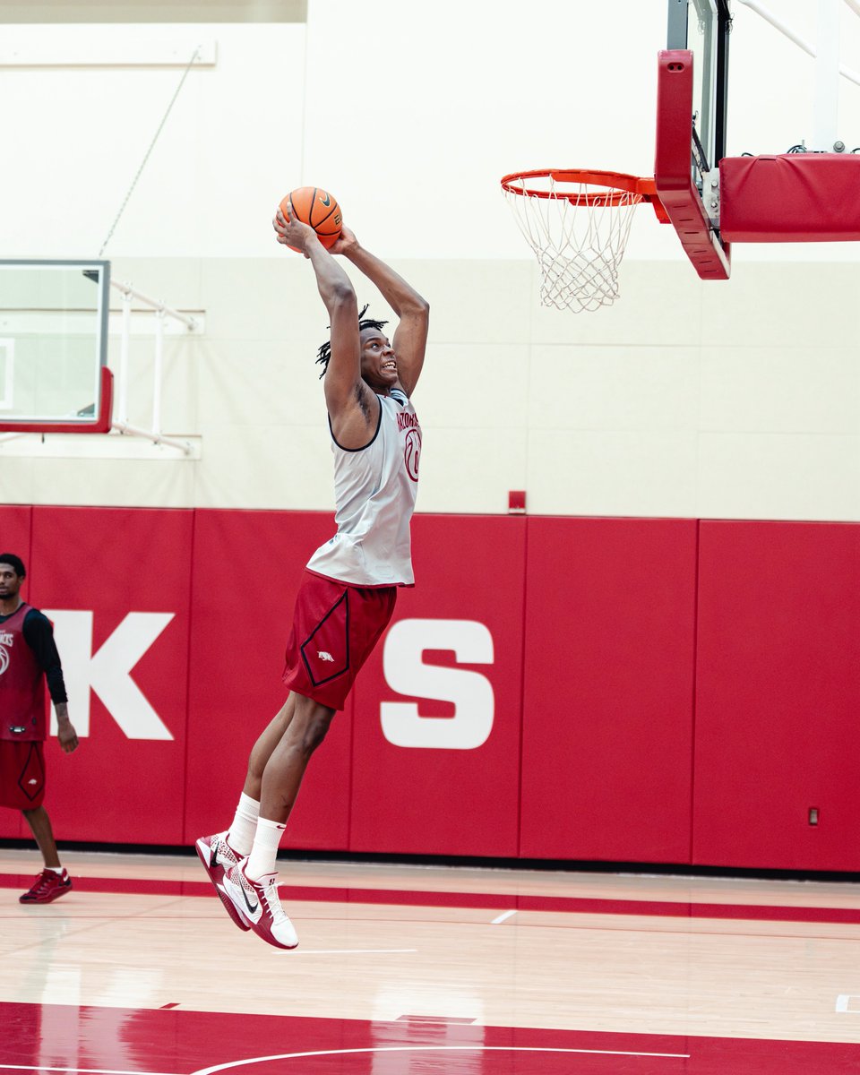 RazorbackMBB's tweet photo. New Hogs are fitting in just fine. 🐗🏠 https://t.co/y8hmUgeGB1