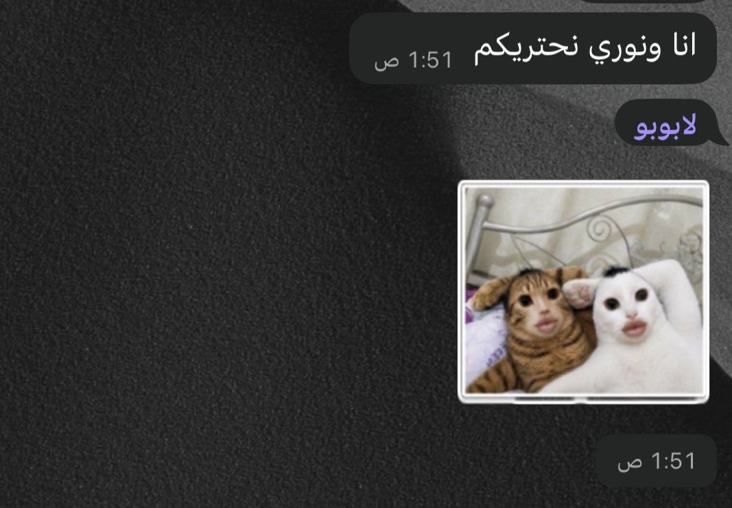 ilxrt22's tweet photo. الستيكر مرا يضحك😭😭😭😭😭 https://t.co/wuxuJ8y1OZ