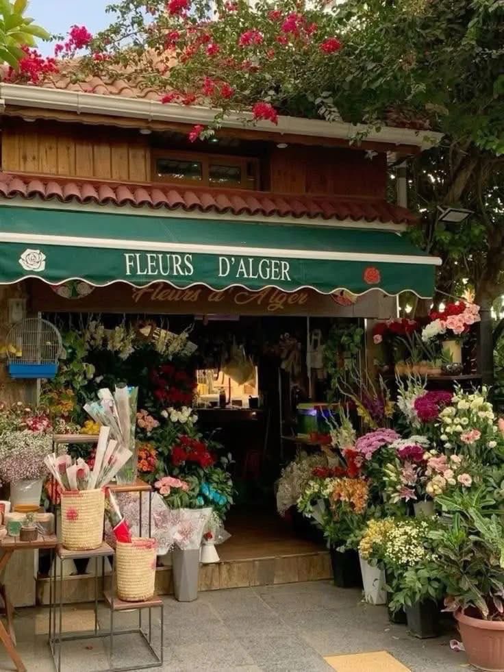 calmlivng's tweet photo. flower shop https://t.co/P7qCymAfiS