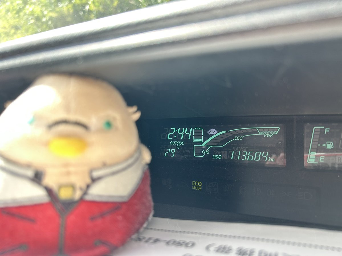 mad_uribo's tweet photo. 昨日からキャンプなう！
🐤高いところだﾁｭﾝ
平地や海側は暑いからね〜🥵
 #タイバニキャンプ部 #ぬいキャン https://t.co/vZQ5xdJarN