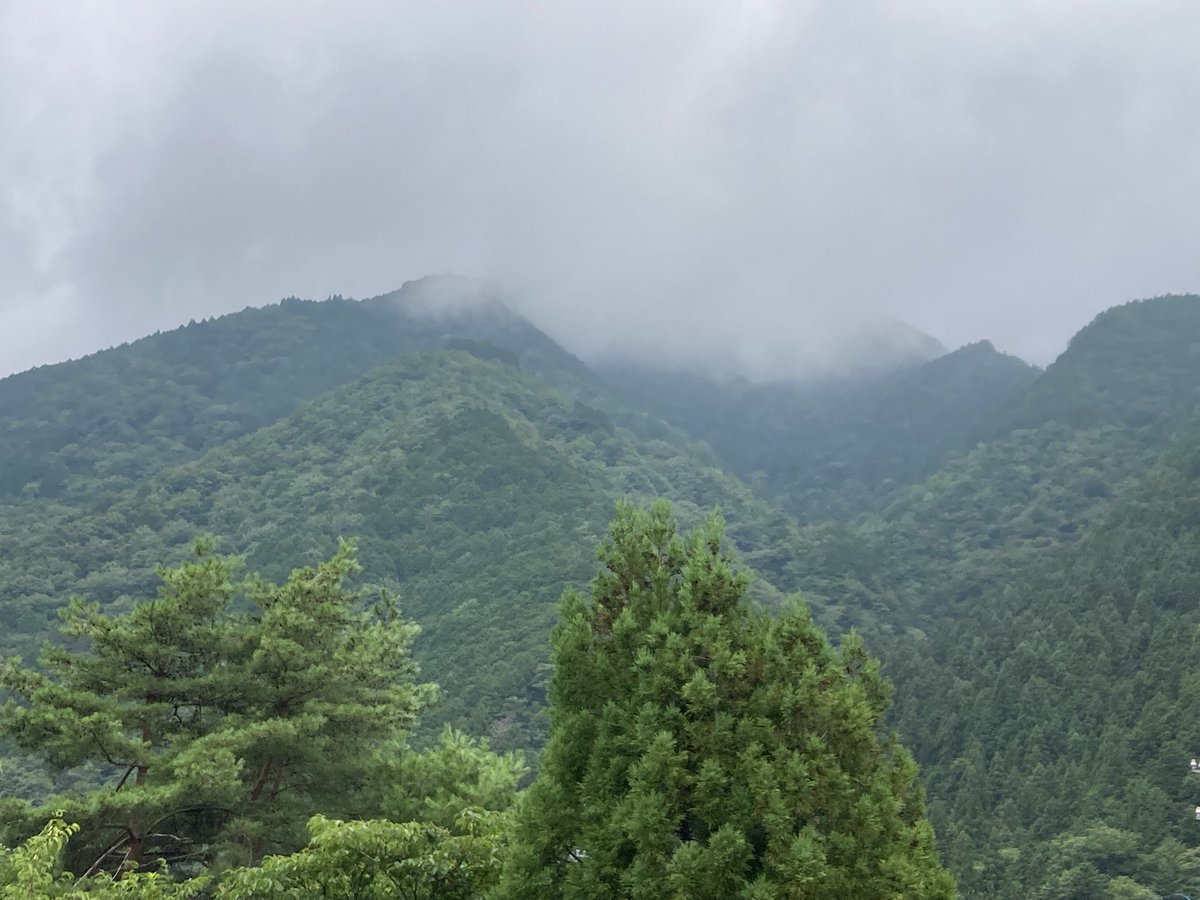 chi_chyan's tweet photo. おはようございます😄⛰️
霧雨っぽい朝です

🐕少し涼しいからほっとしてるっす🐕 https://t.co/FWnFDvmUVT