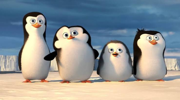 YissErazo's tweet photo. @TomasSanchezAR Yo pensé que diría - Pingüinos de Madagascar 🥺 https://t.co/f0XMjoPoe9