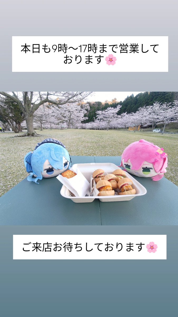 Cafe_ELlTE's tweet photo. おはようございます🌸
起きたら沢山の反応があり驚いてます😳

cafe ELITEは千葉県 君津市の山奥にあるホロリスの35Pが営んでいるお店です🌸

房総半島へ観光の際はぜひお立ち寄りください✨️

本日も9時から営業しております🌸 https://t.co/Hpxx1AyI1s