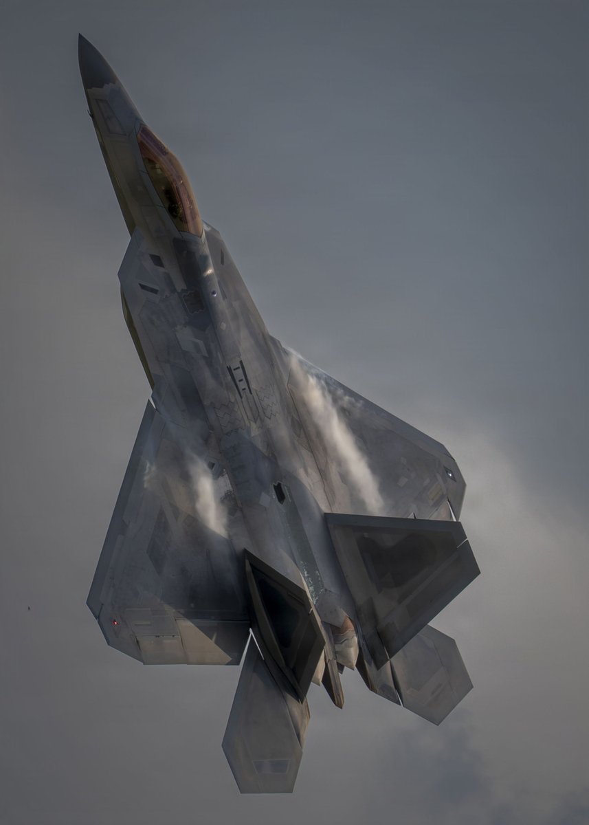 Remnantize's tweet photo. F-22 Raptor, 2026 https://t.co/te4iBWQQvJ