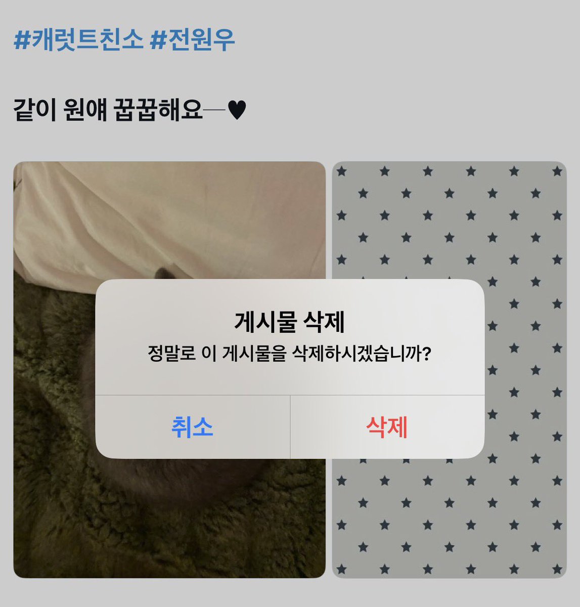 nx1ria's tweet photo. 트친소 내렸어요//♥︎
트메판 알티 해둘테니까 기존 트친분들도,
새로운 트친분들도 모두 편하게 참여 해쥬세요!! https://t.co/yrfgfPJUPU