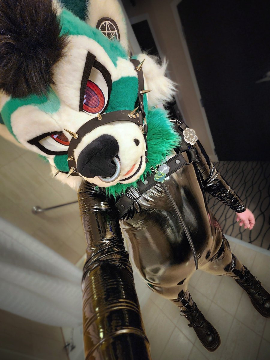 PandSexual's tweet photo. Anyone got a #megaplex room for a shiny kitty? ♡

#megaplex26 #megaplex2026 #meow https://t.co/QHqDn3gCV6