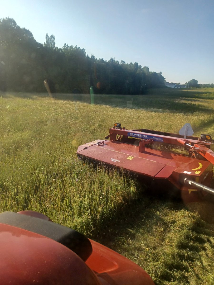 svhs1985's tweet photo. I mowed some hay today after taking a break for a week. @Case_IH @NHAgriculture #NBAG https://t.co/Jqa0ZZLEPh