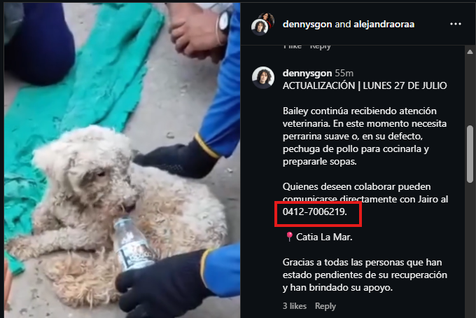 Chubsters0x's tweet photo. This is Beyli (aka Beily), a dog who survived under the rubble of the Venezuelan Earthquake for 29 days before  being found yesterday. 

I was able to onboard the owner (Jairo)  of the dog by retrieving his phone number on the comments of this viral Instagram post and am now in contact with him on Whatsapp. Sadly, Jairo’s wife and mother passed away due to the earthquake.

https://t.co/1oIjkw37jq

The post has become crazy viral, garnering 1M views in under a day and is now trending on X.

The bio of his daughter Victoria confirms it is his phone number (as shown in my interaction): https://t.co/68qKVtoNCZ

This comment also confirms the phone number on my Whatsapp: https://t.co/cqDQMv6dol

Will be delegating all fees to him to fund the recovery of Beyli and to help the family in their time of grief.

His wallet: 8G5uCACdm3TthVzaEVLa4khCJo3pdeMc3FEyW1uQNK7z

He will also get Victoria to post the CA on her TikTok: 

https://t.co/68qKVtoNCZ

What's extremely unfortunate as well is the fact that they lost family to the earthquake so the fees are not only just for the dog, but also for Jairo and Victoria during their time of grief.

Because he is not very savvy with crypto, I have used an autoclaim script on behalf of him and will be sharing solscan links on the timeline for proof that he is receiving the funds.