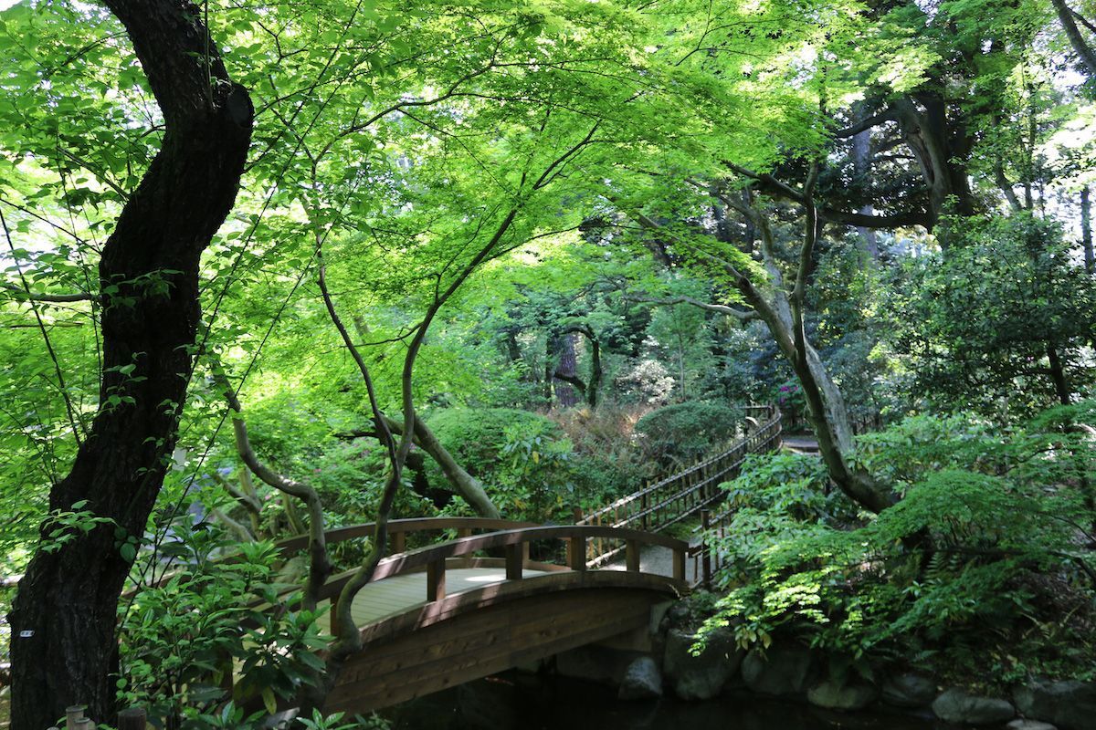 voguejp's tweet photo. 改めて散策したい、都内の美しき杜や庭園をご紹介。
https://t.co/2PXfJxT3L3 https://t.co/vAlSPMEa78