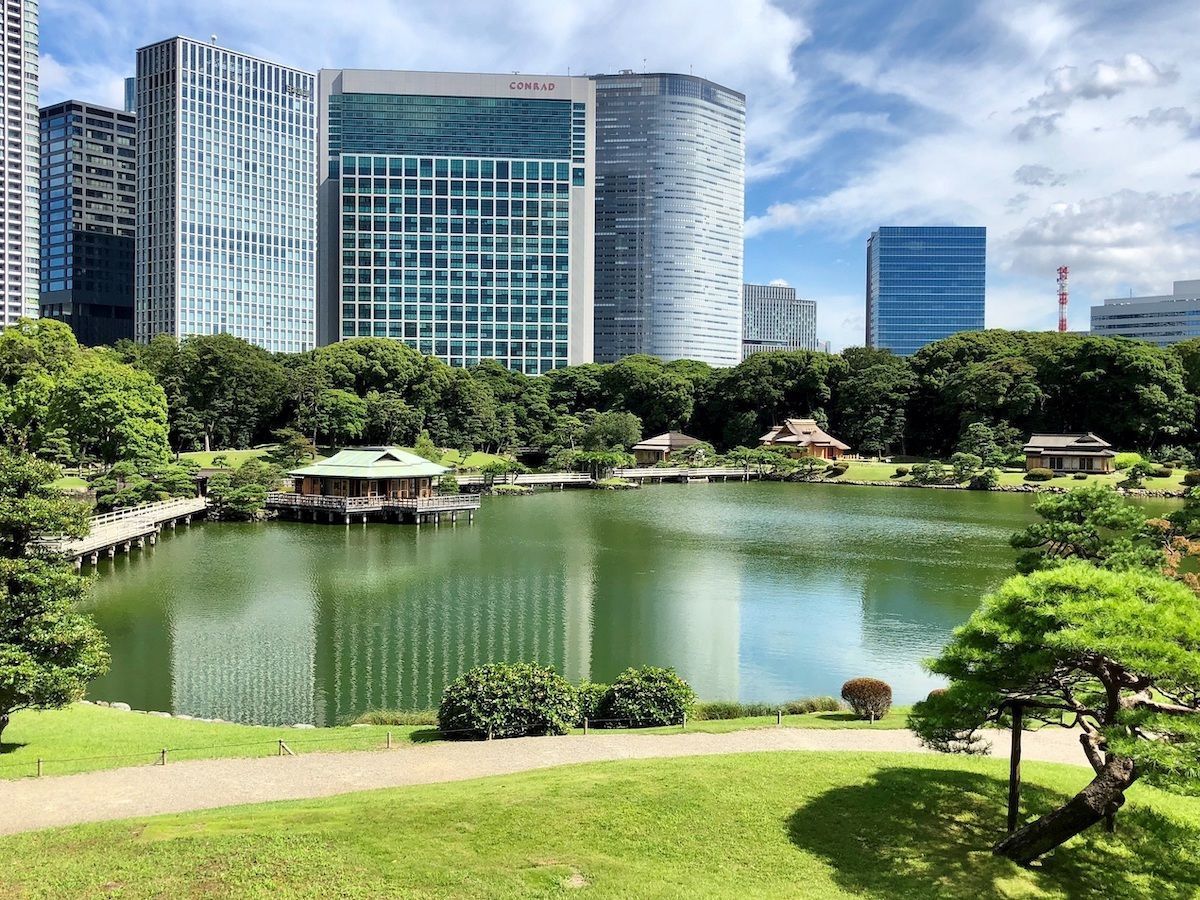 voguejp's tweet photo. 改めて散策したい、都内の美しき杜や庭園をご紹介。
https://t.co/2PXfJxT3L3 https://t.co/vAlSPMEa78