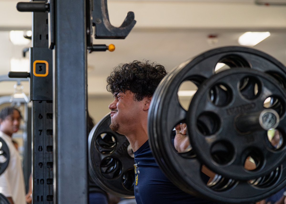 FullColl_FB's tweet photo. Maxing out 🏋️‍♂️
#swarmcity https://t.co/JoN8Skqmxg
