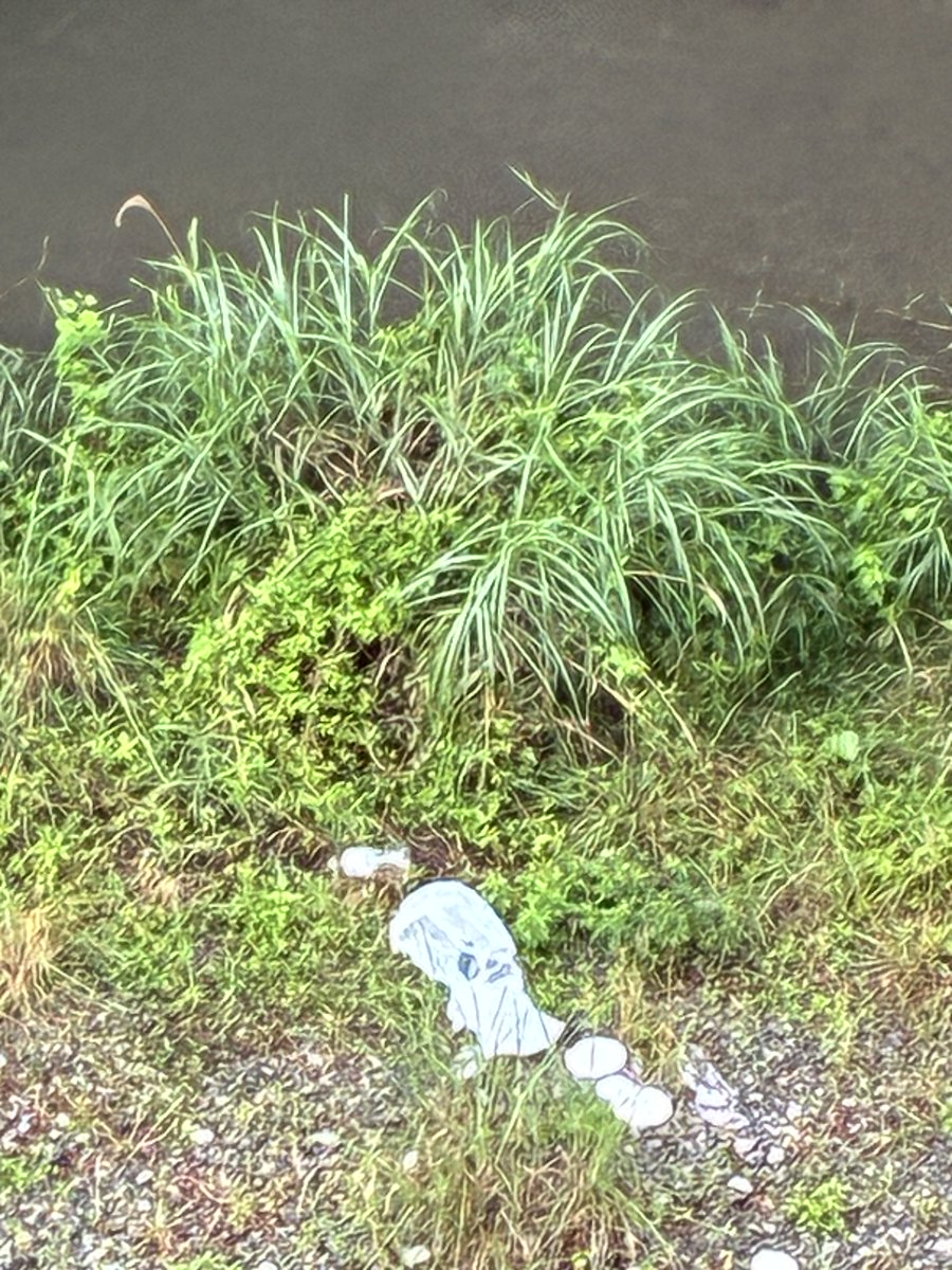 mojagamma's tweet photo. 7/28 東京都に投稿しました。
#多魔川
#多摩川
#青梅市
#御岳渓谷
#軍畑大橋
#無脳BBQ民
#BBQ禁止 https://t.co/CnaTVEsgiY