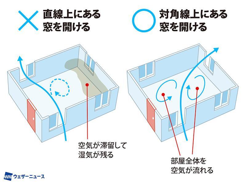 wni_jp's tweet photo. 【サーキュレーターの置き場所、正解は？】
部屋の湿度を下げたい時、エアコンの除湿機能に頼るのも手ですが、"窓開け"と"サーキュレーター"を上手く組み合わせて、湿度を20%以上下げることが可能といいます。
高温多湿な夏に知りたい、効果的な置き場所や向きを解説します。
https://t.co/hBrYtuUxT0 https://t.co/Ej4WQ59FUp