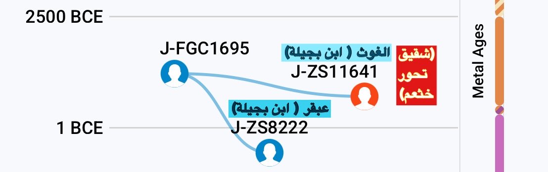 ZS11641__'s tweet photo. يقولون أن التحورZS8222 لاعلاقة له ببجيلة، بحجة أنه لم يجتمع مع تحور خثعم. غير أنهم أغفلوا أن بجيلة امرأة نُسب إليها عدة أبناء، والمرأة قد تتزوج أكثر من رجل، فمن غير المستبعد أن يكون من أبنائها من هو من صلب أنمار، ومنهم من ليس من صلبه، مع اشتراكهم جميعا في الإنتساب إلى أمهم بجيلة! https://t.co/WNcdbnwrfj
