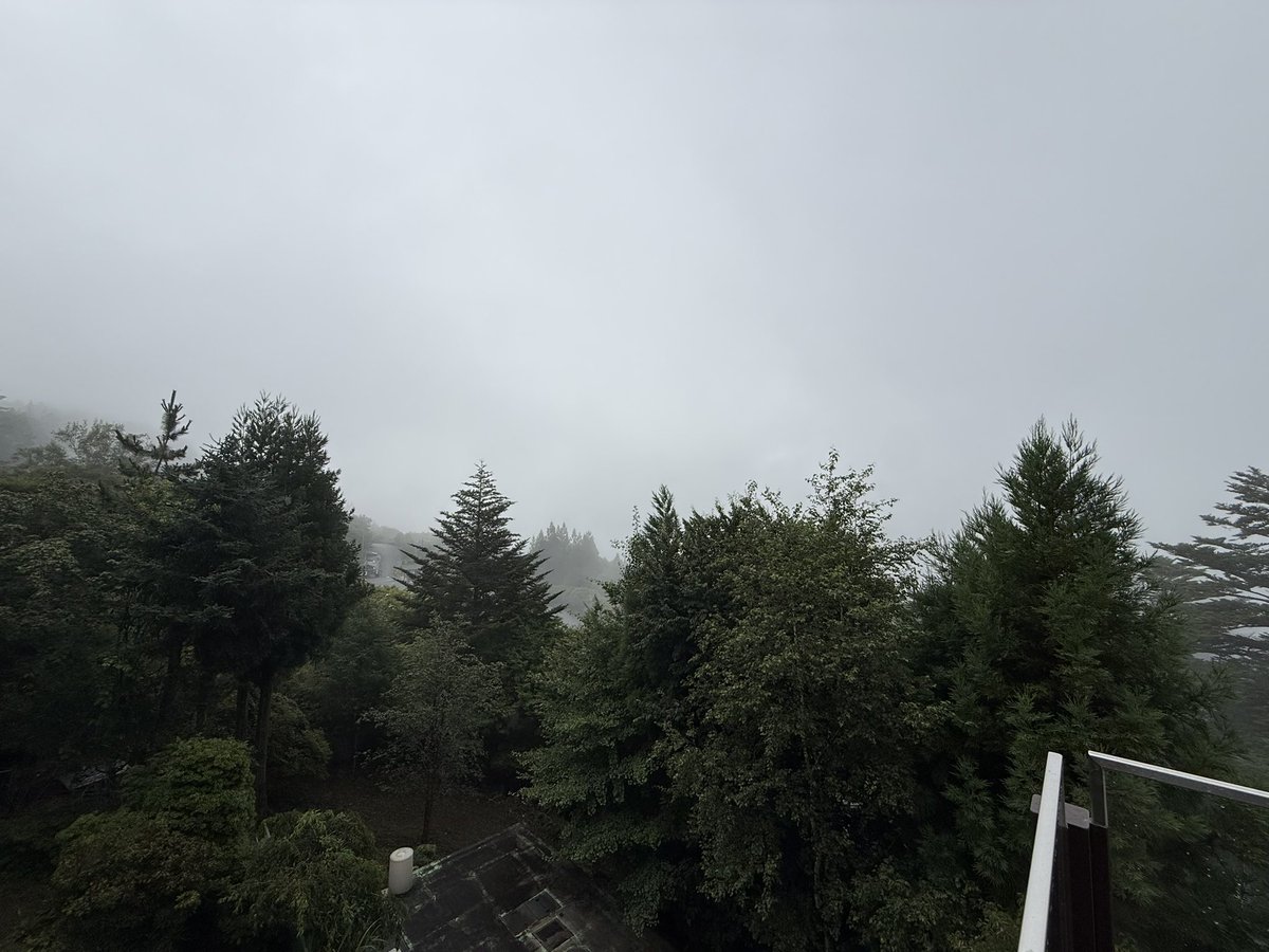 ohshimaya's tweet photo. おはようございます
三峯山7月28日9時00分
天候：くもり 気温22℃ 
道路状況：良好
概要：今朝は曇り空。涼しいです。
午後雨が降りそうです…
熊の目撃情報があります。お一人での登山はしばらく控えて頂いた方が良さそうです…
#三峯神社 #三峰神社 #大島屋 https://t.co/743vAlUJTP