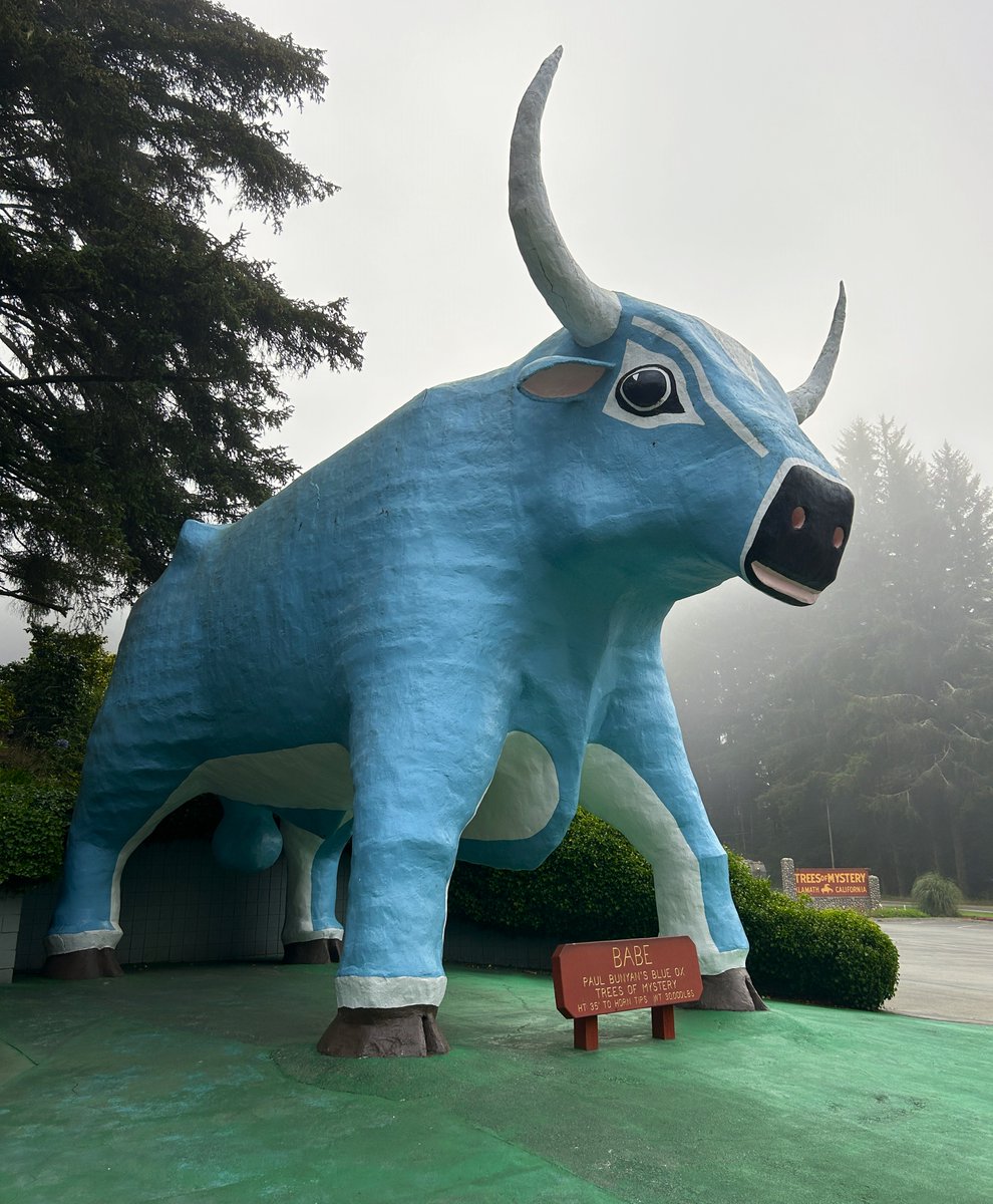 obligatraveler's tweet photo. The sky, the sea, or berries...this week's #Top4Theme is #Top4Blue -share your Blue pics - tag @obligatraveler 
Toronto Blue Jays Ballpark
Elbow Cay-Bahamas
Babe the Blue Ox-Redwoods, California
The Blues Brothers-@UniversalORL https://t.co/dp0XySM2qW