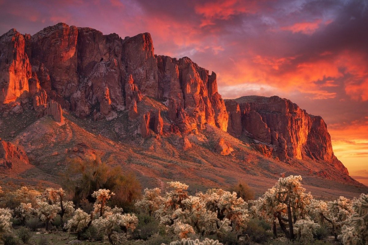 RadarRevolt's tweet photo. The desert doesnโt rest, and neither should our ambition.
Take this evening to recharge.
Tomorrow we rise with purpose and push forward.
Good night.
๐ธ: Superstition Mountains -
Apache Junction, Arizona
#Arizona #DesertSunset #GoodNight #Motivation #BlueCollar #Discipline https://t.co/JRjZ6J3iXg