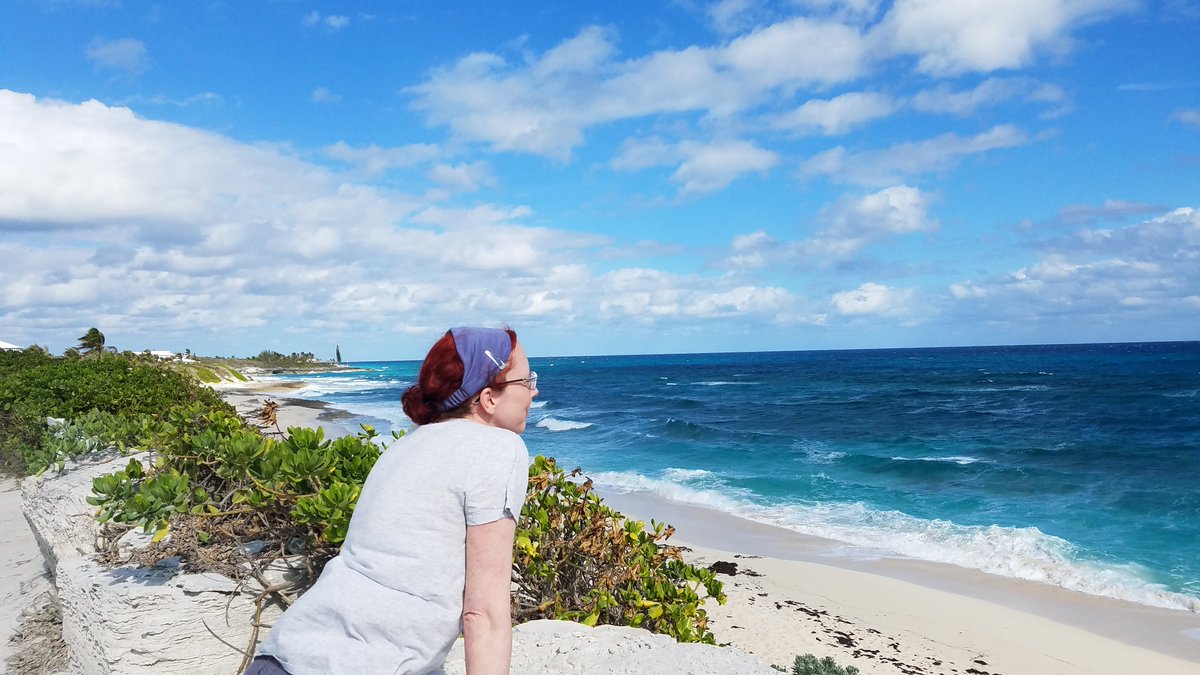 obligatraveler's tweet photo. The sky, the sea, or berries...this week's #Top4Theme is #Top4Blue -share your Blue pics - tag @obligatraveler 
Toronto Blue Jays Ballpark
Elbow Cay-Bahamas
Babe the Blue Ox-Redwoods, California
The Blues Brothers-@UniversalORL https://t.co/dp0XySM2qW