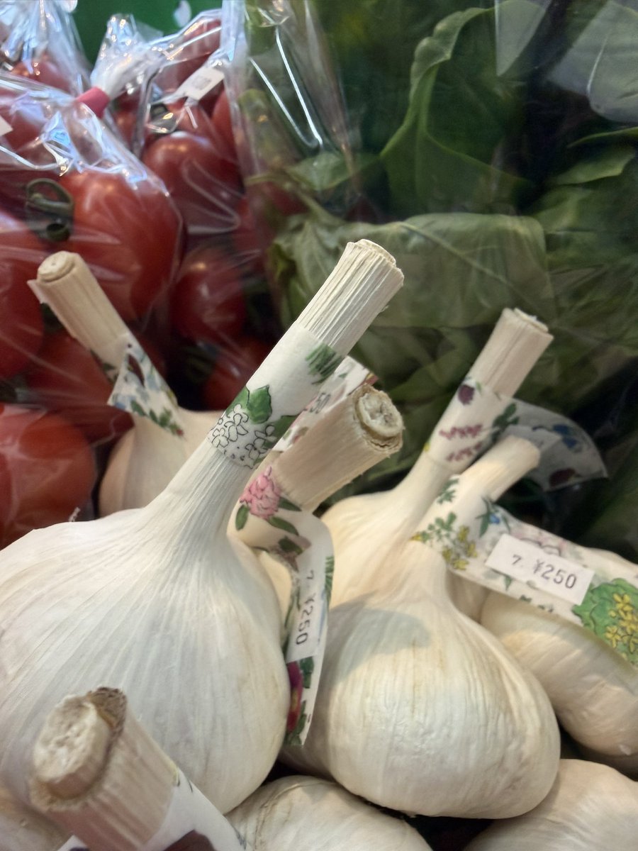 morigunte's tweet photo. 毎週火曜は野菜の日！
もりぐんてでお待ちしておりまーす！

#北海道 #オホーツク #美幌町 #野菜 https://t.co/eFVIEHTPuP