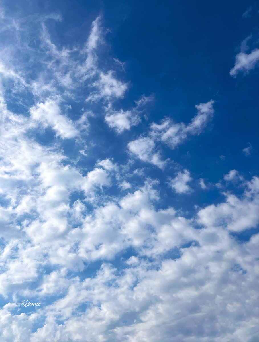 kokomo5951's tweet photo. 2026年7月28日
火曜日

おはようございます

今日は午後から
お天気不安定🌩️
どうぞお気をつけて🙏🏻

夏の木陰を吹き抜ける
爽やかな風の一日に
なりますように😊🌿✨

#イマソラ https://t.co/1CSbLQSJvY