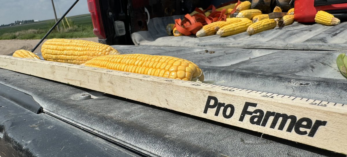 LouiseCarduner's tweet photo. 10 of my favourite AG photos/videos from the @profarmer crop tour.
#PFTour26
This year I am doing the western leg.
#SouthDakota #Nebraska #Iowa #Minnesota
#aThread https://t.co/gTxRSAS6GB