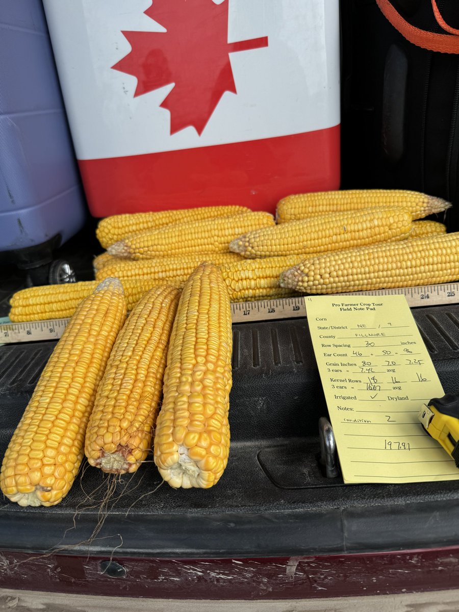 LouiseCarduner's tweet photo. 10 of my favourite AG photos/videos from the @profarmer crop tour.
#PFTour26
This year I am doing the western leg.
#SouthDakota #Nebraska #Iowa #Minnesota
#aThread https://t.co/gTxRSAS6GB