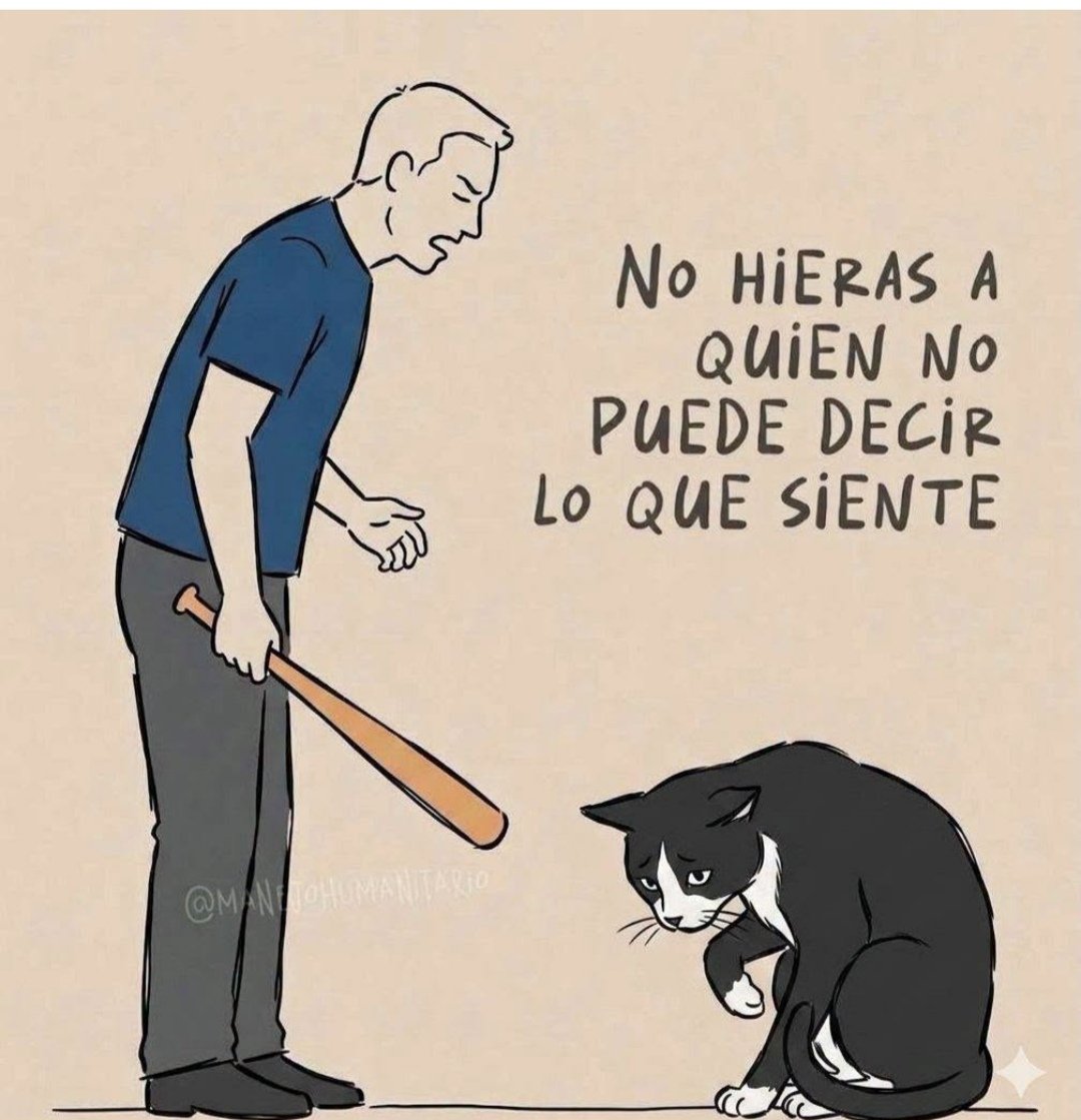 ManuSaenzVolvio's tweet photo. Solo un cobarde y mis3rable puede maltratar a quien no puede defenderse!
#NoAlMaltratoAnimal https://t.co/to9k338JtW