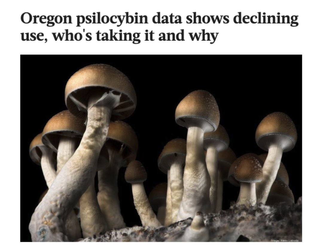 PaulAustin3w's tweet photo. I hate to say it, but my worst fears about the regulated psychedelic model are coming true, as shown by the new Oregon psilocybin data.

Clients’ average household income was $172,000 in Q1 of this year, which is up $35,000 from Q1 2025 and nearly double the state median.

The vast majority of them were Caucasian, and a troubling 100% of licensee applicants since Q2 2025 identify as white.

We already knew that a single psilocybin session in Oregon runs from $900 to over $5,000.

So, it likely surprises no one that Oregon served only 952 clients in the first quarter of 2026. That’s the lowest quarterly figure on record in the program’s history, representing a 37% drop from the peak of 1,509 in early 2025.

Only 22 service centers remain open, down from 36 in early 2024.

And the treatment is about to get even more inaccessible and burdensome for everyone.

Now, Oregon is planning to fold psilocybin services into its Medical Marijuana division to cover a budget shortfall, and they're proposing doubling licensing fees.

 Service centers would pay $20,000 a year; facilitators would pay $4,000 to work within this system.

Those costs will land squarely on clients' shoulders.

Frankly, this is what I’ve been saying about the state-regulated psychedelic model as it currently exists in the US. It’s wildly exclusive by nature.

People seeking psychedelics deserve better.

In particular, they deserve access to containers & facilitators who actually match their intentions:

Wellness and self-exploration were the top motivations reported by Oregon clients, who cited general health, expanded consciousness, and creativity.

Mental and emotional health followed close behind.

This confirms something else that many of us have been saying for years (to put it mildly):

Psychedelics are not only medicine for the sick. They’re tools for healthy, curious seekers.

I created the Psychedelic Coaching Institute because I sensed that neither the medical model nor state licensing regimes are designed for the psychedelic demand that exists around the world now.

More and more people are looking for skilled, ethical practitioners to guide them, and they’re looking outside of narrow aboveground models.

They might be looking for you… that is, if you’re committed to holding transformation with skill and courage, informed by hands-on practice, personal experience, and mentorship from the field’s leaders.

In that case, you may be looking for the Psychedelic Practitioner Certification, for coaches, clinicians, guides, and future practitioners of all professional backgrounds. 

The next cohort kicks off one week from today, and there’s still time to join while global demand surges 

(link in comments).

So, what do the new numbers from Oregon tell you? Do you agree or disagree with my interpretation?