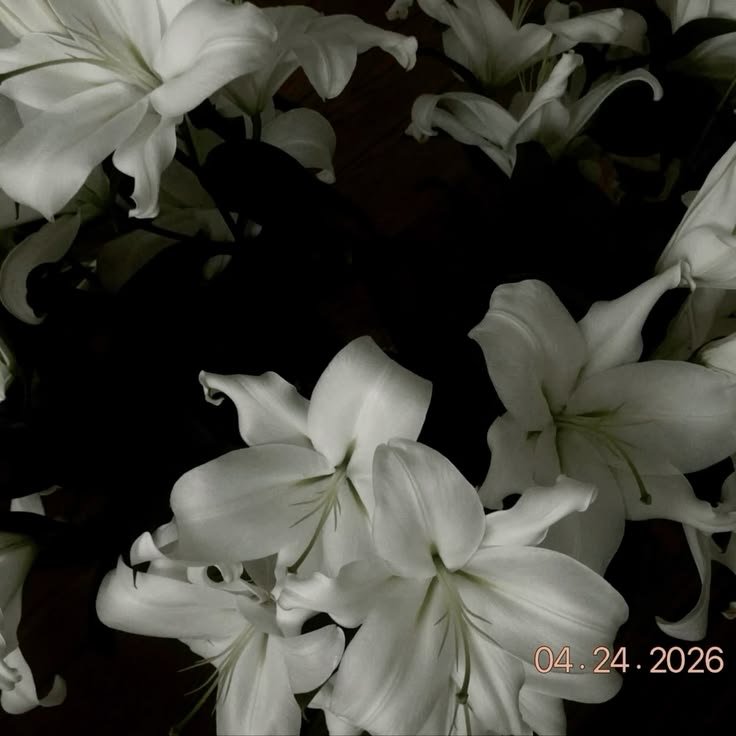 4nesthesiadaa's tweet photo. Citen si ven 

How pinterest sees me

ꪆৎ lyrics.

ꪆৎ character.

ꪆৎ artist/singer.

ꪆৎ flower. https://t.co/YjOlGRKut0