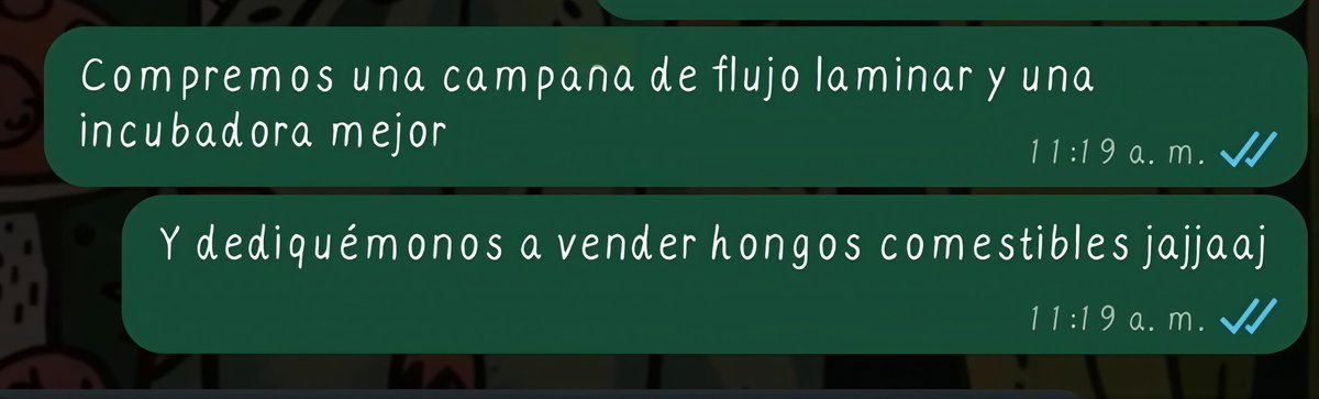 trebolcito_'s tweet photo. Yo queriendo meterle el chip científico a mí novio jaja https://t.co/XxQizfBWPW