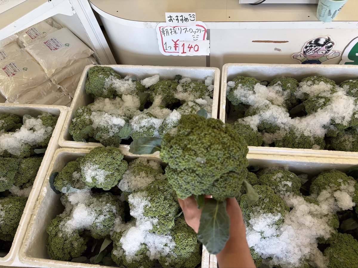 ryo4503's tweet photo. おはようございます
\( ´ω` )/🍅🥒🥦
明日から数日
朝採りブロッコリー入荷お休みです

朝10時ゆうゆう
野菜直売所開店です
今週もよろしくお願いします
商品のお問い合わせは
090-9438-1831にて
お願いします
#湧別
#野菜直売所
#野菜
#切り花
シソジュースなどに
#赤紫蘇 https://t.co/dnsAZMc8sZ