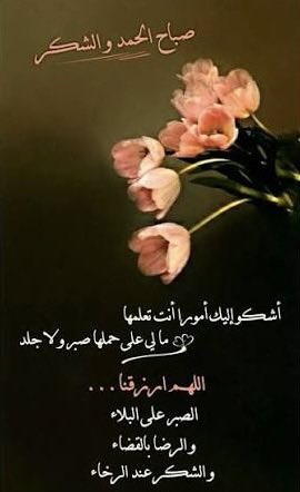 Khalfan1972's tweet photo. https://t.co/TAmNLXjXD0