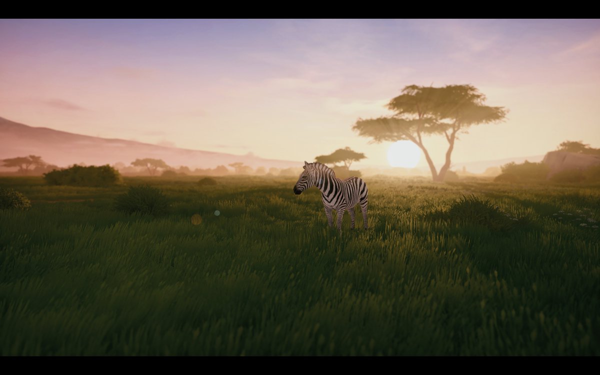 tukihosiya's tweet photo. 昨日はこちらのゲーム「Seclusa 」のDemoも遊んでみた
以前PS3で「AFRIKA」というのがあったけど、それよりもまったりリラックスしながら撮影できるかも🤭
拠点で飼ってる猫も可愛い
#steam　#Seclusa https://t.co/dd3VjO6fAf