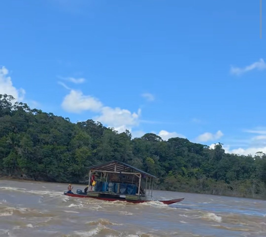 Fritz_A_Sanchez's tweet photo. #Atención #Venezuela

🚨 La impunidad se hace evidente en la cuenca del río Caroní.

Las balsas de minería ilegal son trasladadas con total tranquilidad, como si sus operadores supieran que ninguna autoridad —civil, policial o militar— las detendrá 😞 https://t.co/YvSPwfaieg
