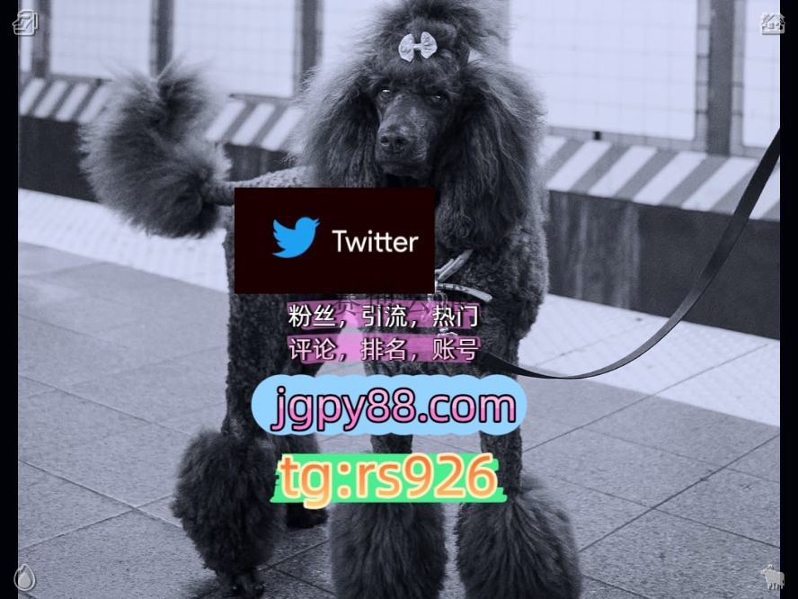 yf8ixb's tweet photo. Grow love and kindness in all hearts.大同
推特矩阵管理、营销自动化、内容运营推特脚本外🧝facebook世界杯
推特账号推特账号霸屏🪐群发私信💐海外获客🍀沈阳
评论截流🎉股票代码🌟辅助工具🔥品牌增长👍粉丝号围210093上门合肥
矩阵互动🌞輔助工具🌂石家庄代发杭1州、成1都、南1京、武1汉、重1 https://t.co/HHNPZ8yQCe