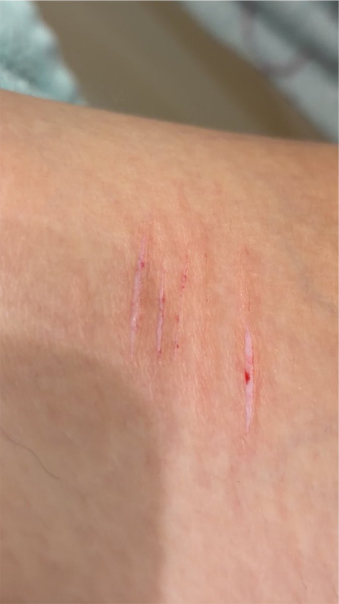 glitter_gal06's tweet photo. Most recent sesh ˃ 𖥦 ˂ THIS IS JUST MAKE UP FAKE FAKE FAKE FAKE DON'T TAKE THIS DOWN #fake #makeup #shedtwt #styro #shtwt https://t.co/G1qDQXe7PO