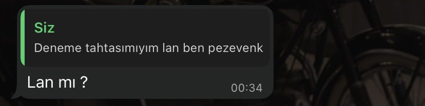 Merve7Ay's tweet photo. Ona mı takıldın pezevenk… https://t.co/HlI1LW8448