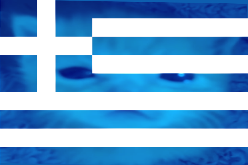 neezyfreakzy's tweet photo. kitten declares that it's greek https://t.co/Op82lDxwp7