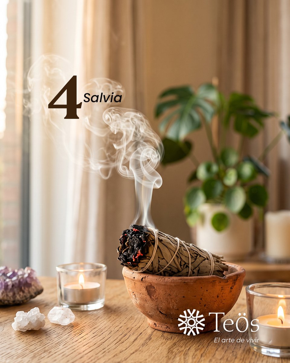 TeosEcuador's tweet photo. 4 elementos para crear un hogar lleno de armonía

Tu hogar es el reflejo de la energía que cultivas cada día. Con pequeños detalles puedes transformar cualquier espacio en un lugar de calma, equilibrio y bienestar.

📍 Visítanos en #TeosSanRafael #ViuPlaza 
PRIMER PISO LOCAL 5 https://t.co/baSz1xf1Xh