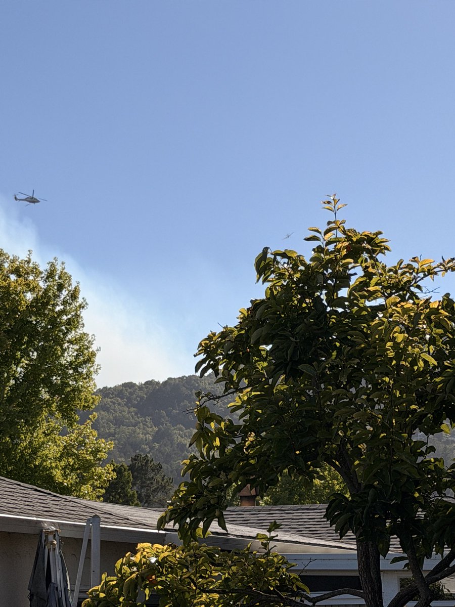 jaffeps's tweet photo. Helicopter and 2 planes appear to be attacking a fire near the Camino Alto open space preserve ￼and Mill Valley. Visible white smoke from Corte Madera and a light breeze. Anyone have more info? https://t.co/VBTc0qMRjA