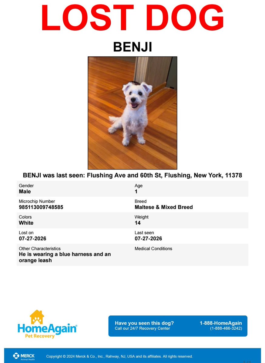 MeowMiya88's tweet photo. 📢🇺🇸🗽⏳️🆘️💔😿🚨🐶Please RT to find Benji #NYC #missingdog #lostdog #Queens #dogsoftwitter #DogsOfX @HAPetRescuer https://t.co/Svao3mEYFc