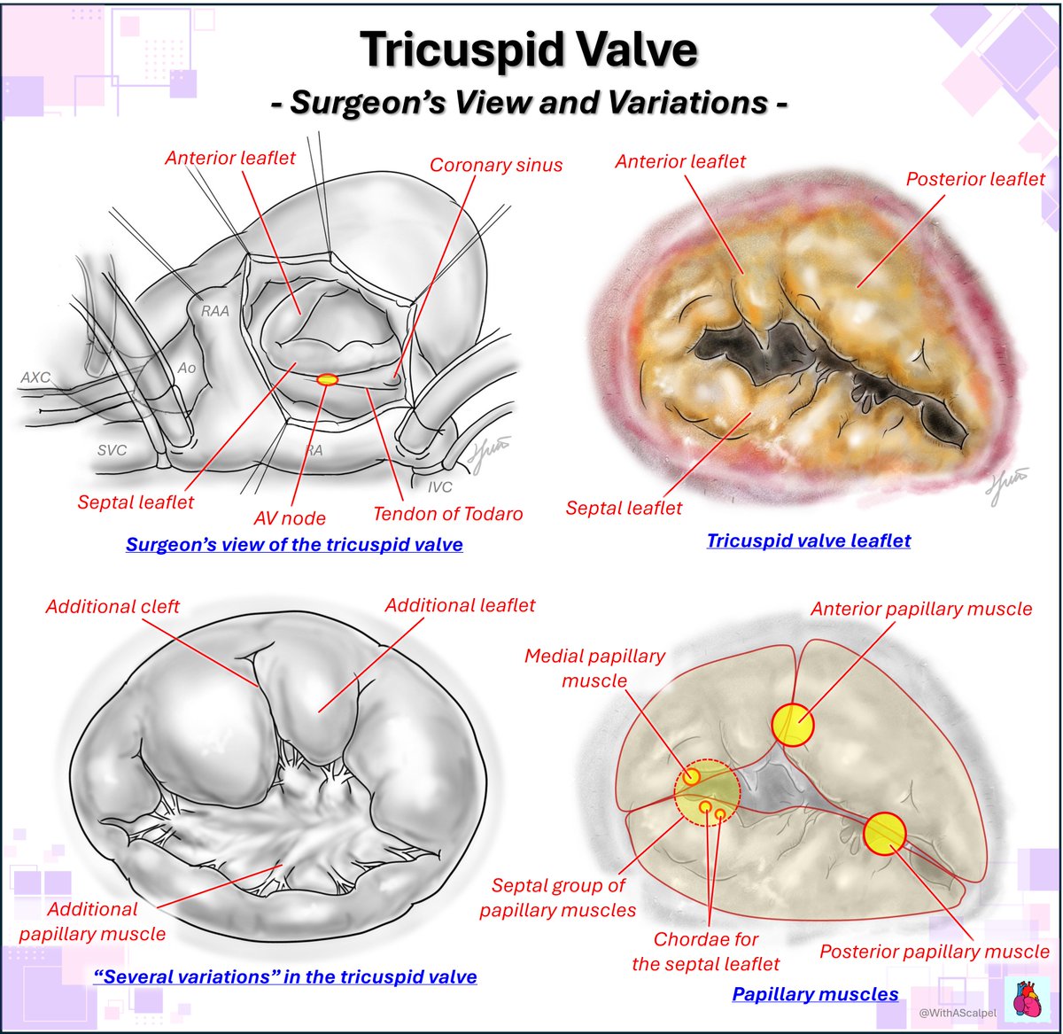 WithAScalpel - Fumiya Yoneyama, MD, PhD tweet media