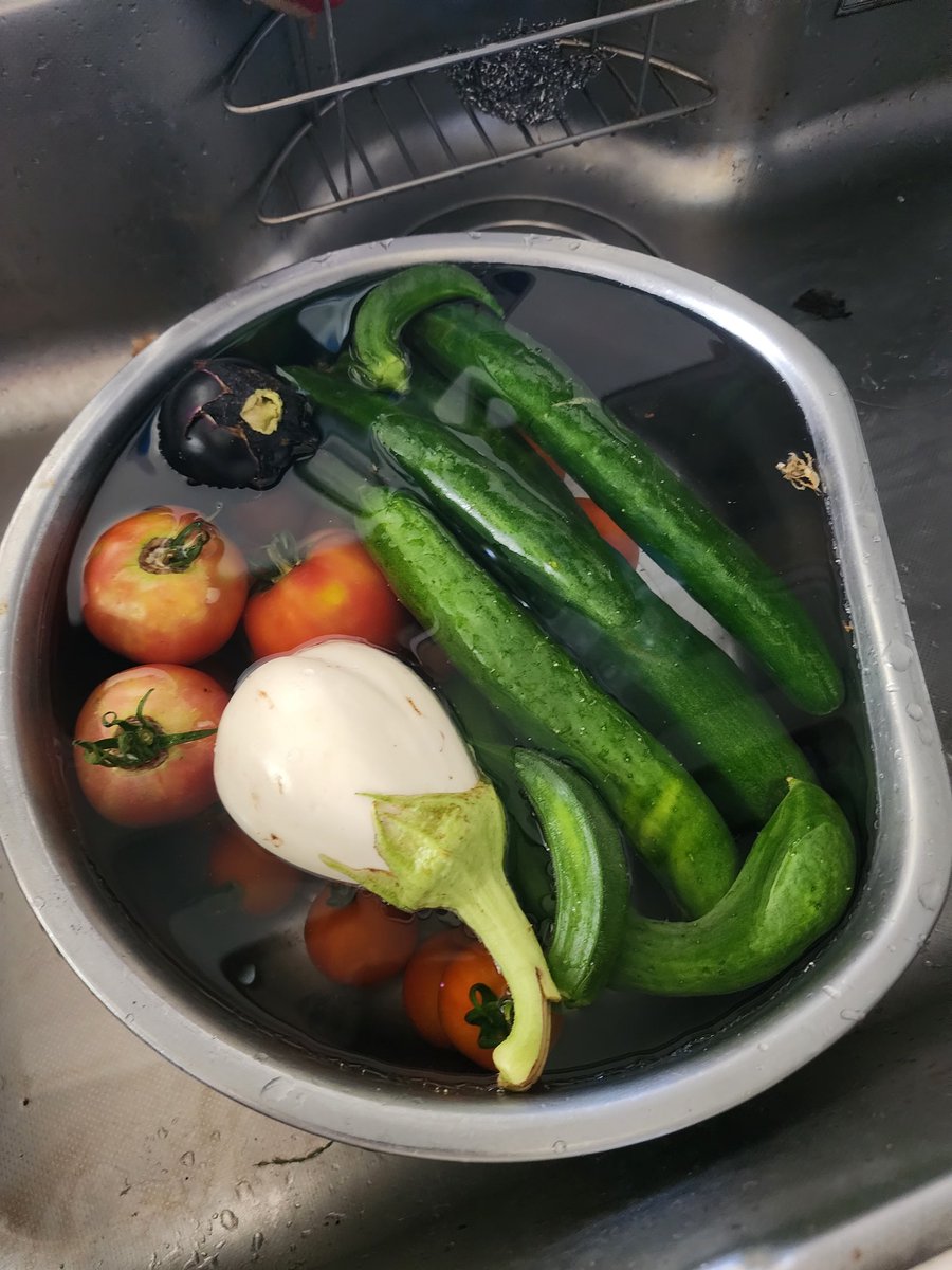 thinkpunk006's tweet photo. 今日は母の手伝いで暑くなる前に畑の草刈りもうぐったり😣💦💦💦

そして今日の収穫✨️
白なすってどう使うんだろ？ https://t.co/CjmuEJXHT6