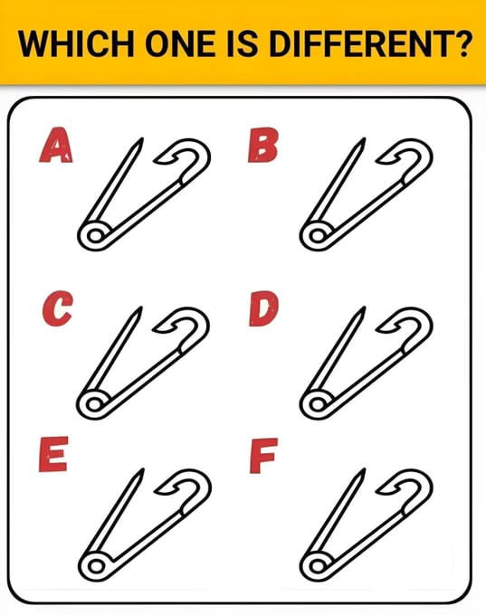 Bella1288ff's tweet photo. Which one is Different? https://t.co/gFvUIQlCaL