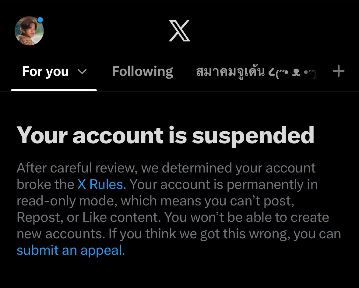EvepotatoVer2's tweet photo. Hi guys my account @Evepotato3 is currently suspended and I am currently making an appeal🥺 https://t.co/xxNWHXrn62