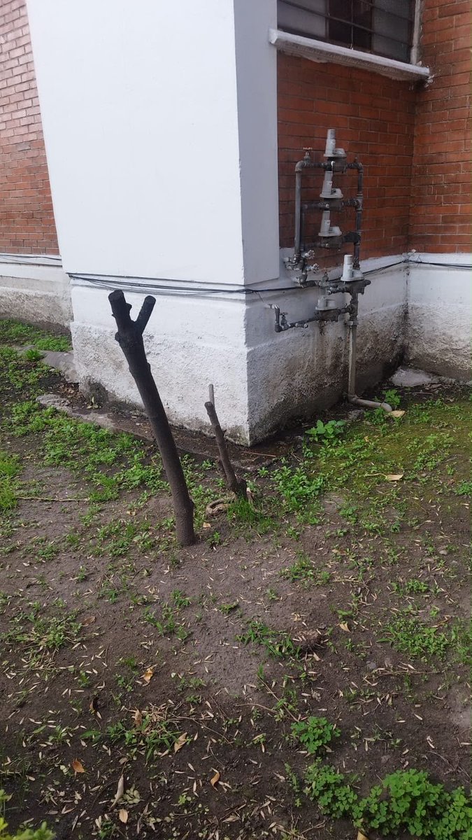 eri_paredes's tweet photo. @TlalpanAl @TlalpanVecinos @locatel_mx @SEGIAGUA @Gabyosoriohdz Donde puedo reportar una fuga de agua? Necesitamos el apoyo en la unidad Fovissste de san Pedro mártir, en Chimalcoyotl. Está empezando la fuga y no queremos que se vuelva más grande. https://t.co/kLGXwmXcJO