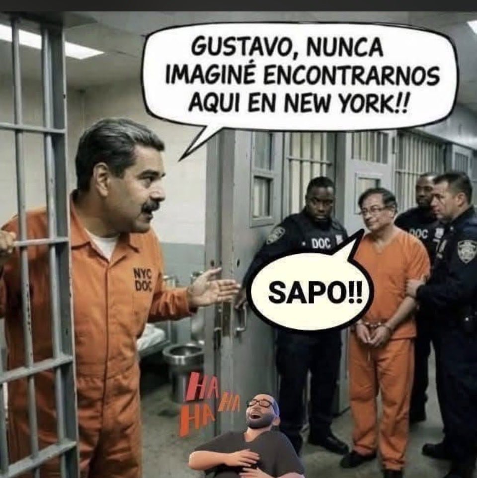 JoseGeoJulian's tweet photo. @petrogustavo @AerovanPm Jajajajaja, así reiremos todos en Colombia malparida rata asquerosa https://t.co/BYkvt6AdYF