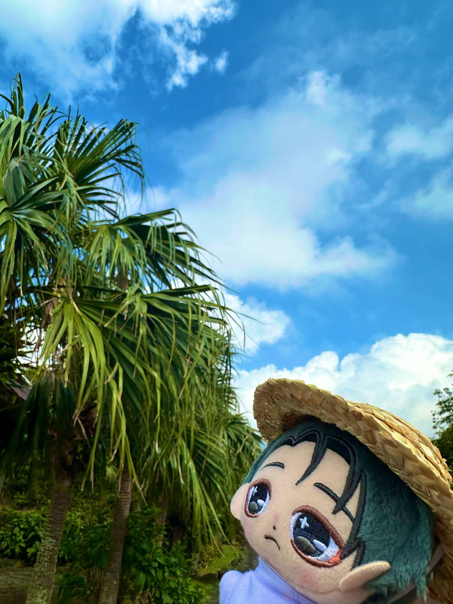 m878089098's tweet photo. 亜熱帯にいます https://t.co/Td6VEmjiMZ